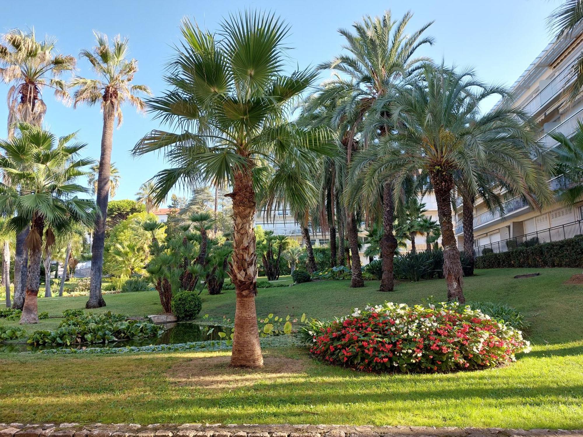 Studio Montrose Cannes - Axelle Loc'Appart Exterior photo